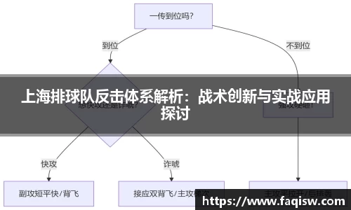 上海排球队反击体系解析：战术创新与实战应用探讨